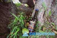 Beer Bottle Forest Mockup