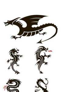 Vector black dragon on a white background