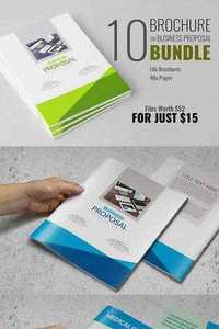 Brochure or Business Proposal Bundle