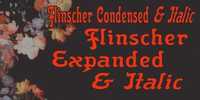 Flinscher