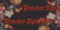 Flinscher