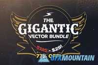 The Gigantic Vector Bundle 336691
