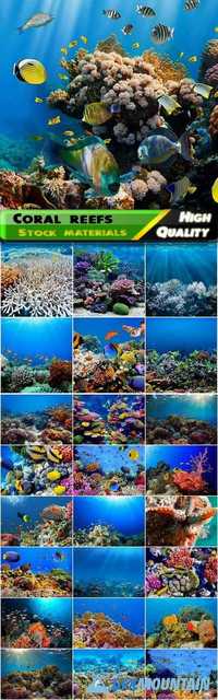 Underwater coral reefs and polyps with aquarium colorful fish Stock images