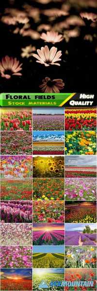 Floral fields and beautiful nature landscapes and sceneries with flowers Stock images