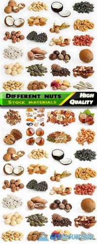 Different mixed nuts - macadamia, almond, cashew, hazelnut, walnuts, pistachio, groundnut, peanut, chestnut, cedar nuts isolated on white Stock images