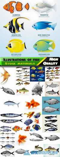 Illustrations of different realistic fish