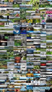 300 Images Pack | Extended Licence 367602