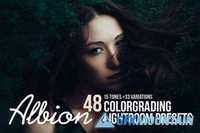 Albion - 48 Colorgrading LR Presets 266078