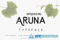 Aruna Typeface 389728