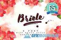 Briele Font Pack (3 fonts) + Swashes