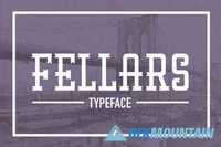 Fellars Typeface 385270