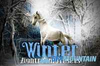 Winter Lightroom Presets 389615