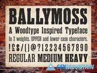 Ballymoss Font 123439