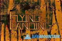 Flying Landing