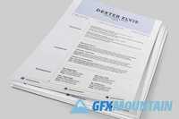 Best Sellers 2 Pages Powerful Resume 401390