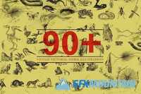 90+ Vectorial Animal Illustrations 412100