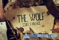 The Wolf Script Typeface