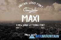 MAXI Sans Serif Font 418227