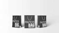 Paper Shopping Bag Mockups Bundle 434905