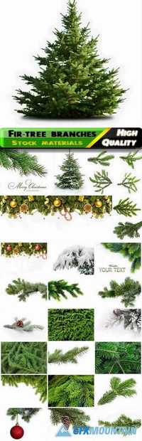 The branches of the snow-covered green fir-tree with needles and cones for Christmas and New Year isolated on white backgrounds Stock images