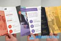 Bundle - 3 Trifold Business Brochure 425616