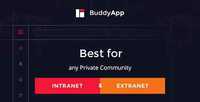 ThemeForest - BuddyApp v1.0.2 - Mobile First Community WordPress theme - 12494864