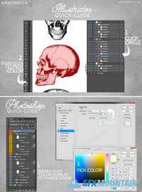 ANATOMICA - vector/psd graphics pack 452779