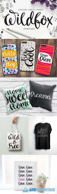 "Wildfox" Typeface-Hand drawn font 436591