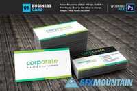 Professional Business Card 01 463110