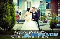 PresetHut - Wedding Collection Lightroom Presets