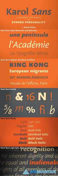 Karol Sans Font Family $790