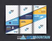 Business flyer brochure banner roll up vector