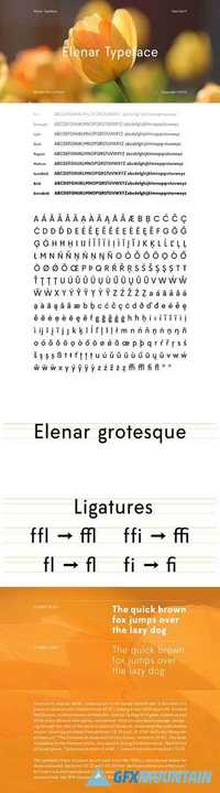 Elenar Typeface 480792