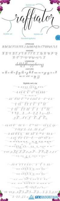 Raffiator script 482252
