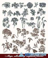 Vintage design elements and calligraphic ornate floral