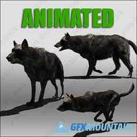 Black Wolf Animated 3D Model