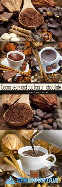 Cocoa beans and cup fragrant chocolate