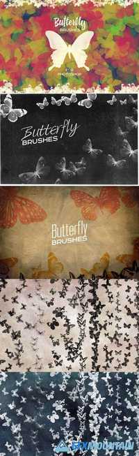 Butterfly Brushes For Photoshop 339486
