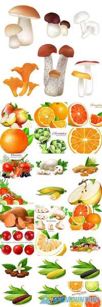 Realistic fresh fruit and vegetables