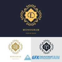 Monogram logo and calligraphic ornament elements2