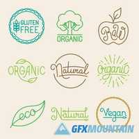Vegan & Organic Food