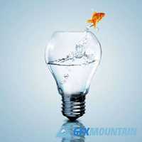 Light Bulbs & Creative Ideas
