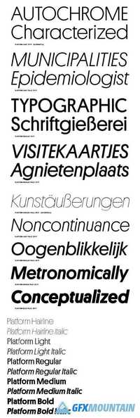 Platform Font Family $225 | 10 x TTF