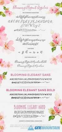 The Blooming Elegant Font Trio 537891