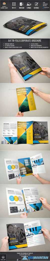Trifold Brochure 12105018