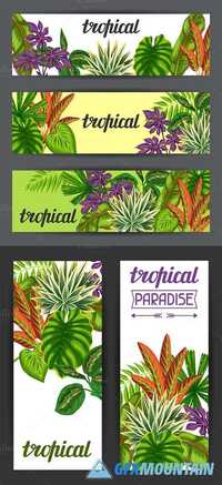 Banners with tropical plants 624538