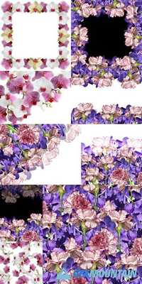 Floral Background - Carnations and Orchids