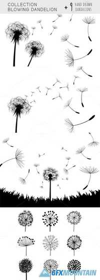 Collection Blowing Dandelion 670573