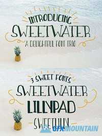 Sweetwater Handwritten Font Trio