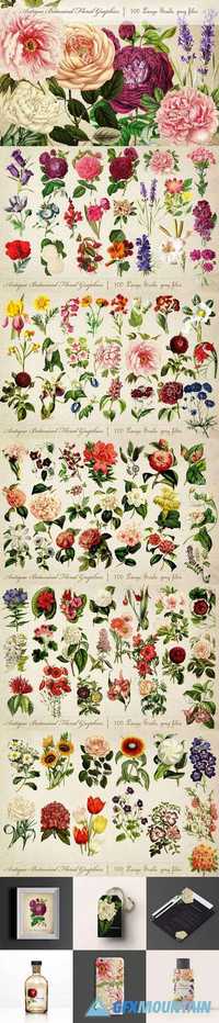 Antique Botanical Floral Graphics 697852